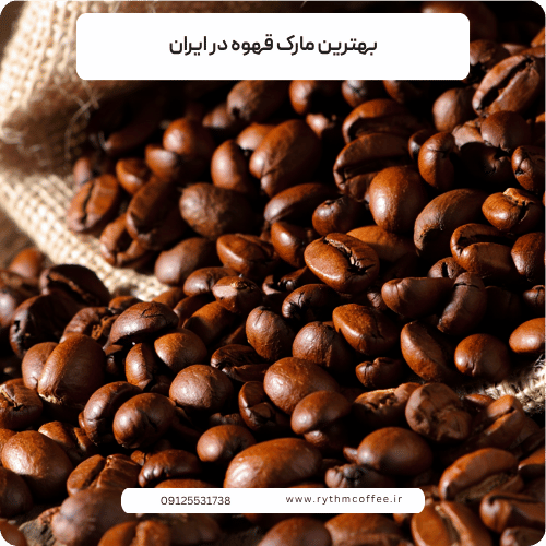 بهترین مارک قهوه در ایران بهترین مارک قهوه در ایران؛ راهنمای انتخاب قهوه باکیفیت برای هر سلیقهدر بازار ایران، برندهای متنوعی از قهوه ایرانی و خارجی در دسترس هستند. از دان قهوه تازه‌برشت گرفته تا قهوه‌های آسیاب‌شده و کپسولی، هرکدام ویژگی‌های خاص خود را دارند. در این مقاله قصد داریم معیارهای مهم انتخاب قهوه را بررسی کنیم و در کنار معرفی گزینه‌های محبوب، نکاتی را برای خرید قهوه باکیفیت در اختیار شما قرار دهیم. هنگام انتخاب قهوه به چه نکاتی توجه کنیم؟ برای پیدا کردن بهترین مارک قهوه در ایران ابتدا باید بدانیم یک قهوه باکیفیت چه ویژگی‌هایی دارد. برخلاف تصور رایج، قیمت بالا یا شهرت یک برند به‌تنهایی نمی‌تواند کیفیت قهوه را تضمین کند. یکی از مهم‌ترین عوامل، نوع دانه قهوه است. دو گونه بسیار شناخته‌شده در بازار، عربیکا و روبوستا هستند. عربیکا معمولاً عطر و پیچیدگی طعمی بیشتری دارد و اسیدیته آن نیز بالاتر است. در مقابل، روبوستا طعمی قوی‌تر، تلخ‌تر و معمولاً کافئین بیشتری دارد. بسیاری از قهوه‌های اسپرسو نیز از ترکیب این دو گونه تولید می‌شوند تا تعادلی مناسب میان عطر، تلخی، کرما و کافئین ایجاد شود. عامل مهم دیگر، تاریخ رست یا برشته‌کاری است. حتی بهترین برند قهوه نیز اگر مدت زیادی از زمان رست آن گذشته باشد، ممکن است عطر و طعم مطلوبی نداشته باشد. بنابراین هنگام خرید، بهتر است به تاریخ رست توجه کنید و در صورت امکان، دان قهوه را به شکل تازه تهیه کنید.